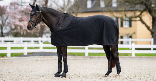 Guide: Choosing the right rug for your horse