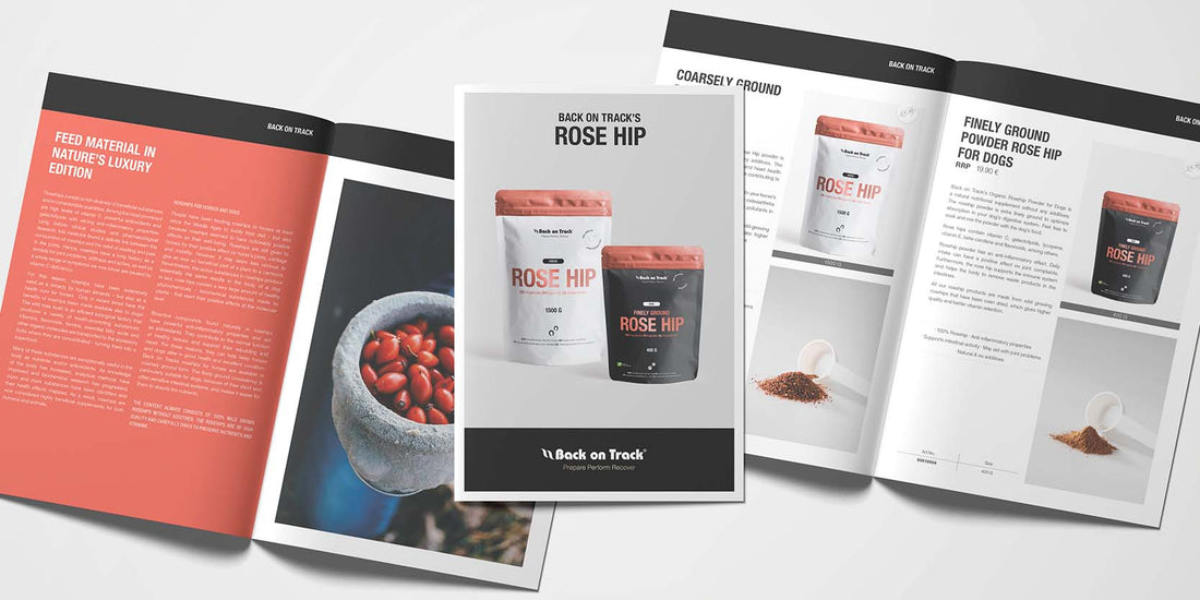 Back on Track's Rose Hip