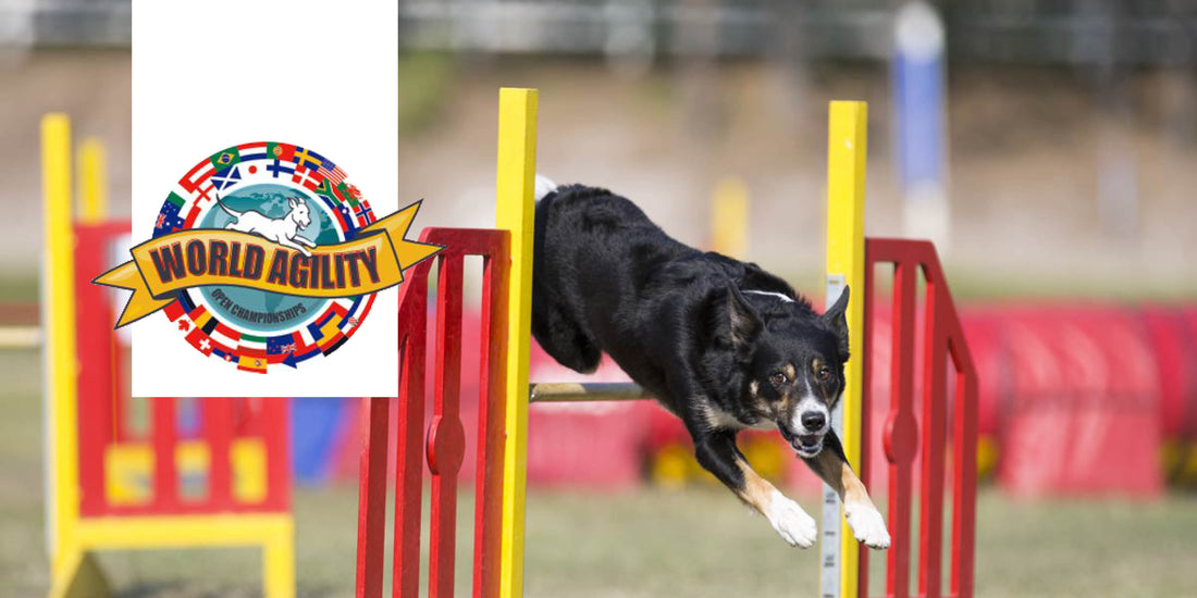 World Agility Open 15/05 - 19/05