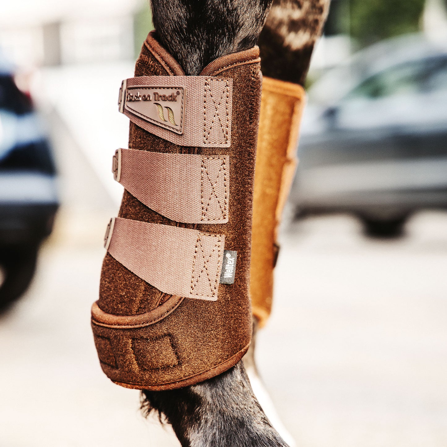 Airflow Exercise Boots