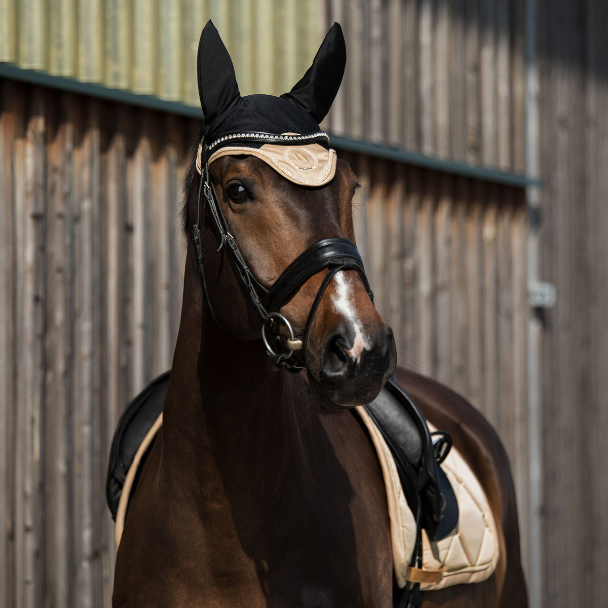 Nights Collection Fliegenhaube