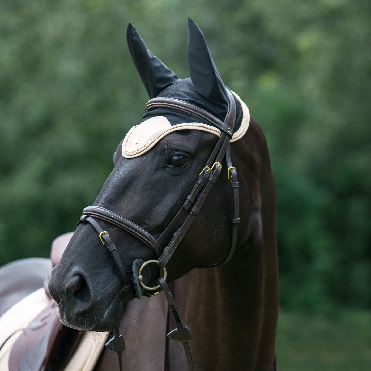 Nights Collection Fliegenhaube