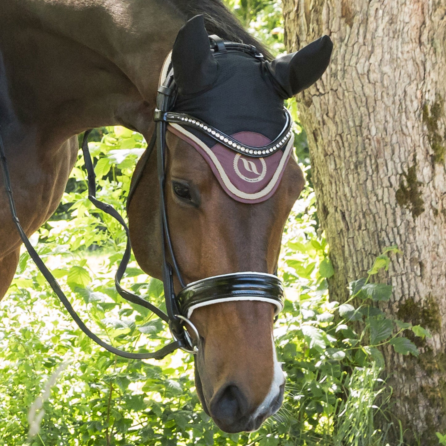 Nights Collection Fliegenhaube