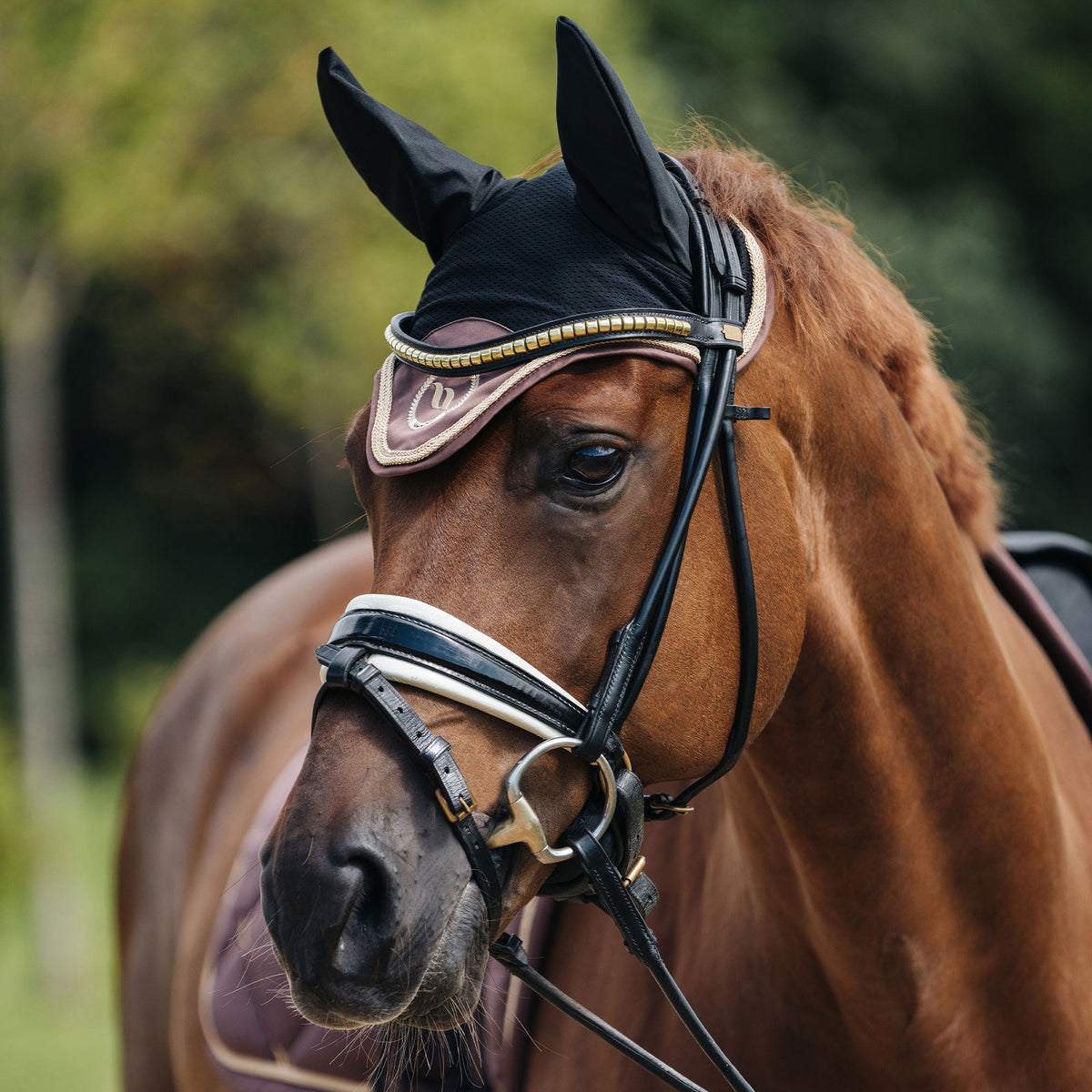Nights Collection Fliegenhaube