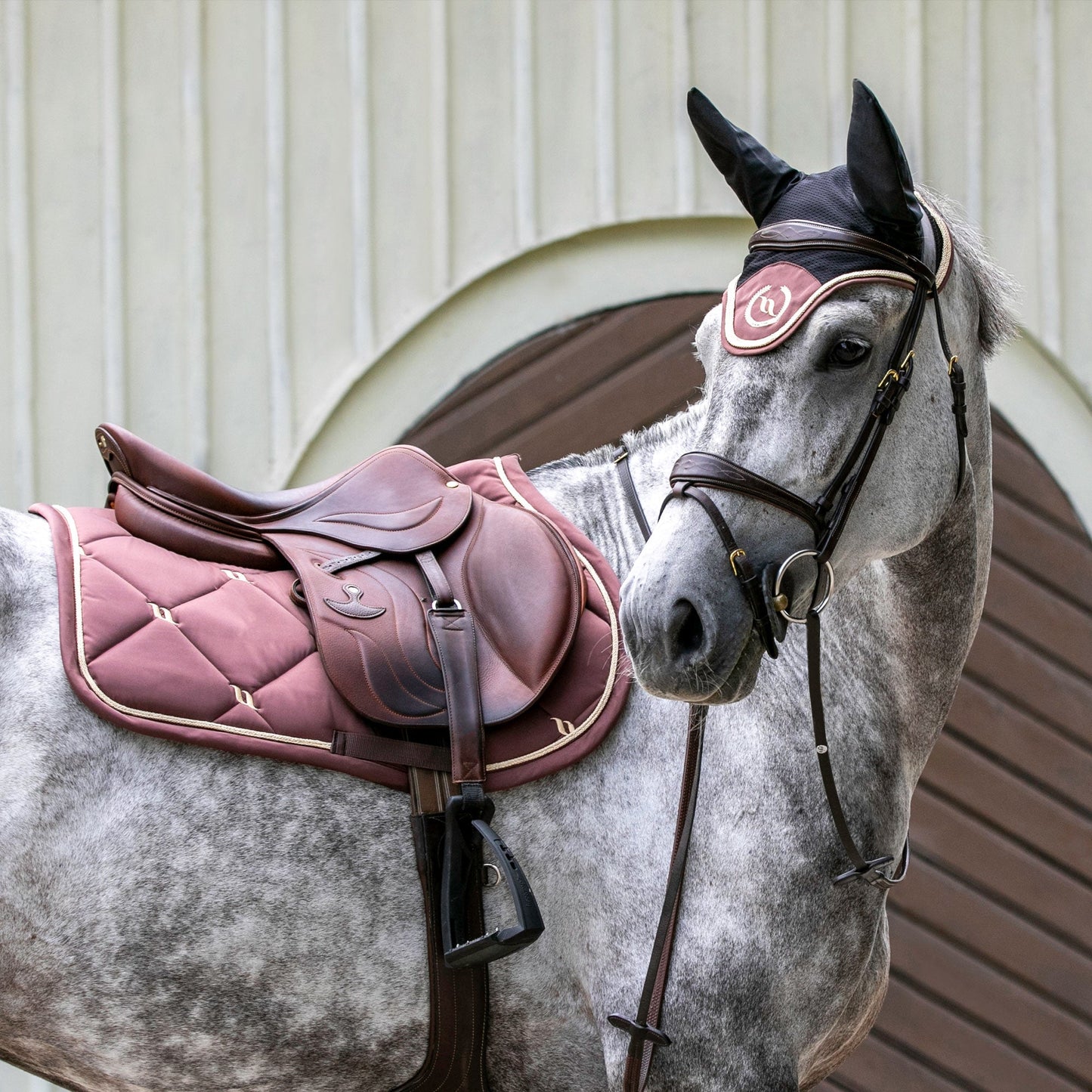 Nights Collection Fliegenhaube