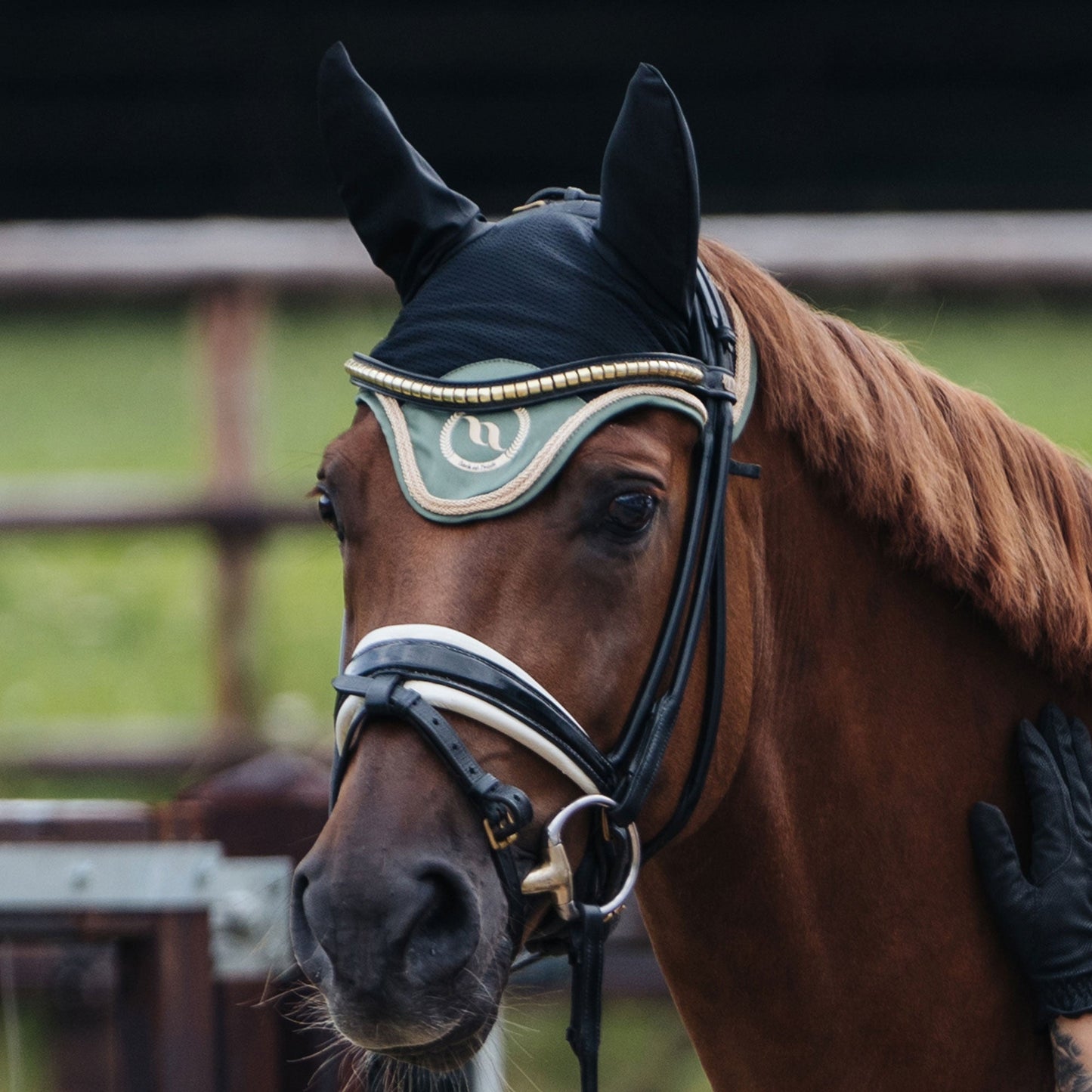 Nights Collection Fliegenhaube