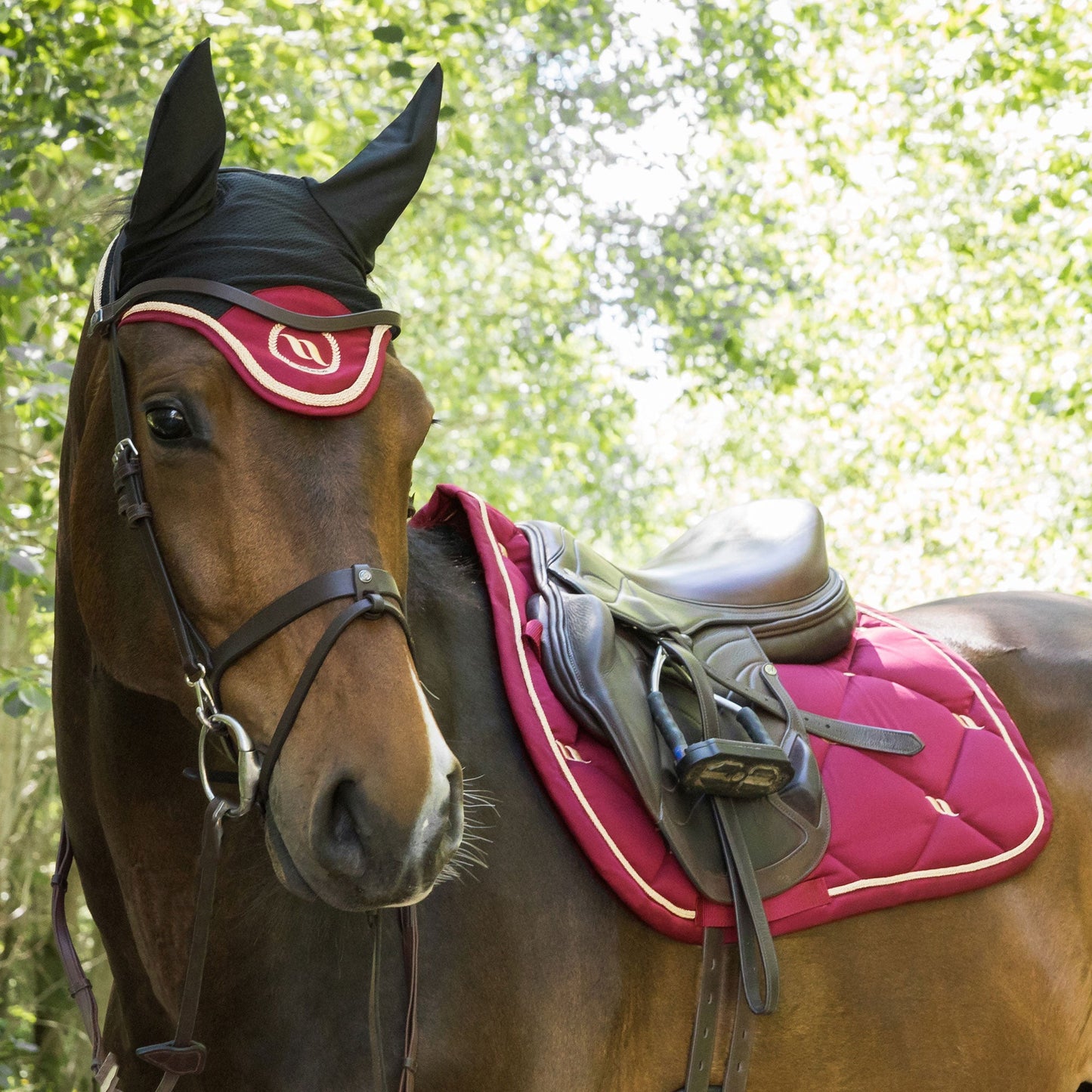 Nights Collection Fliegenhaube
