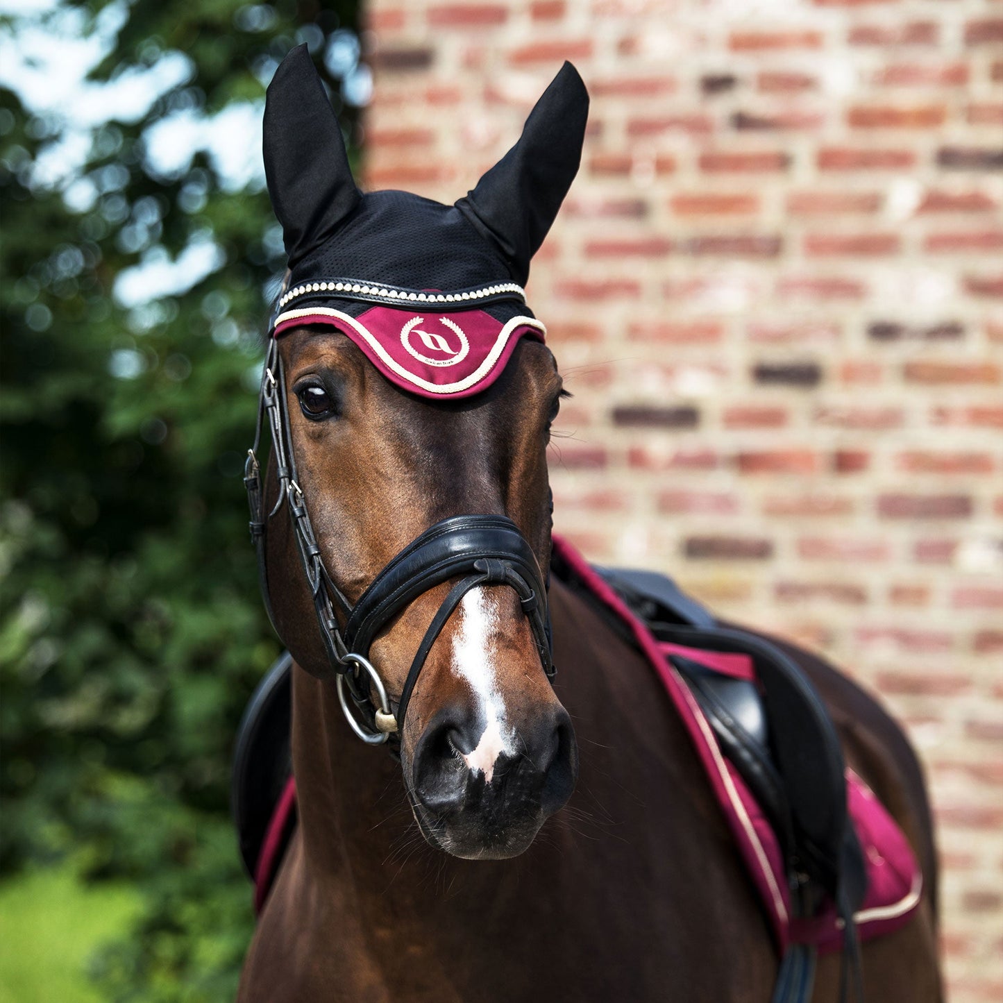 Nights Collection Fliegenhaube