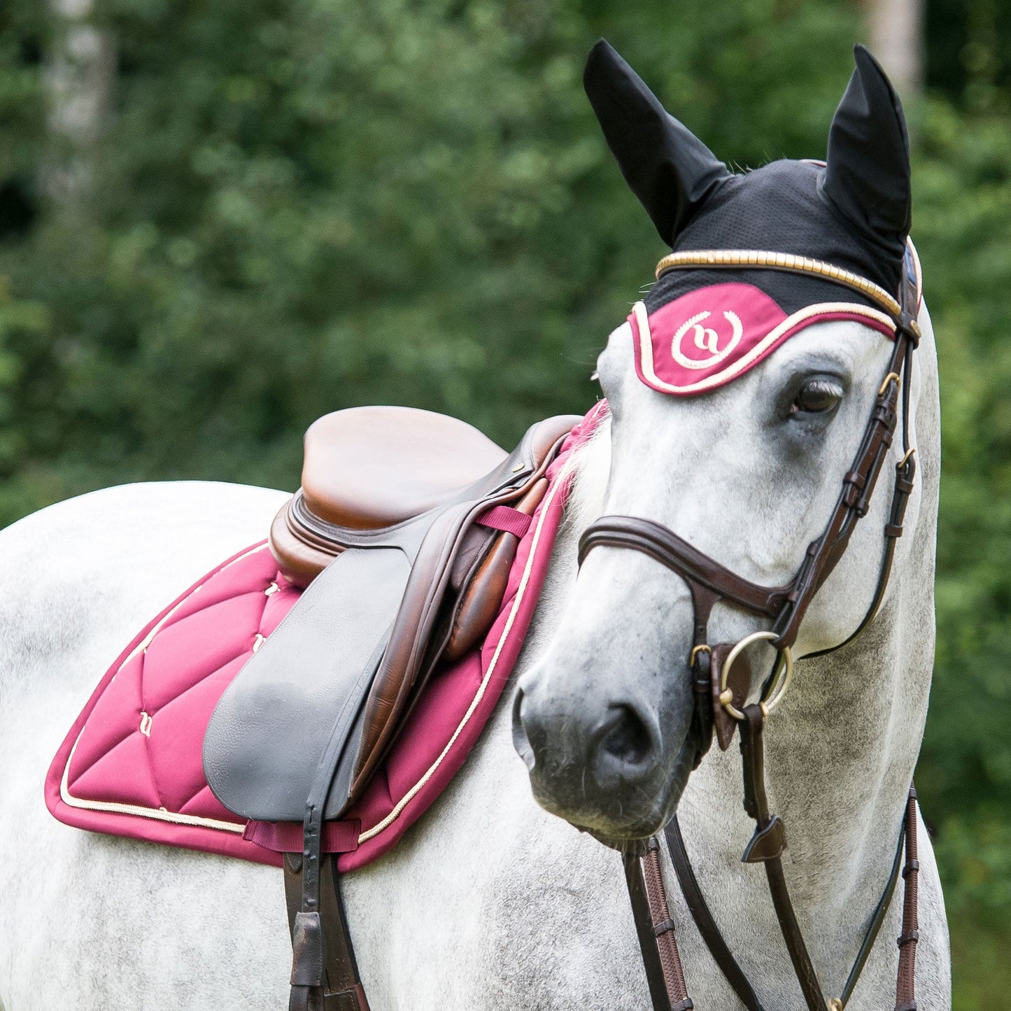 Nights Collection Fliegenhaube
