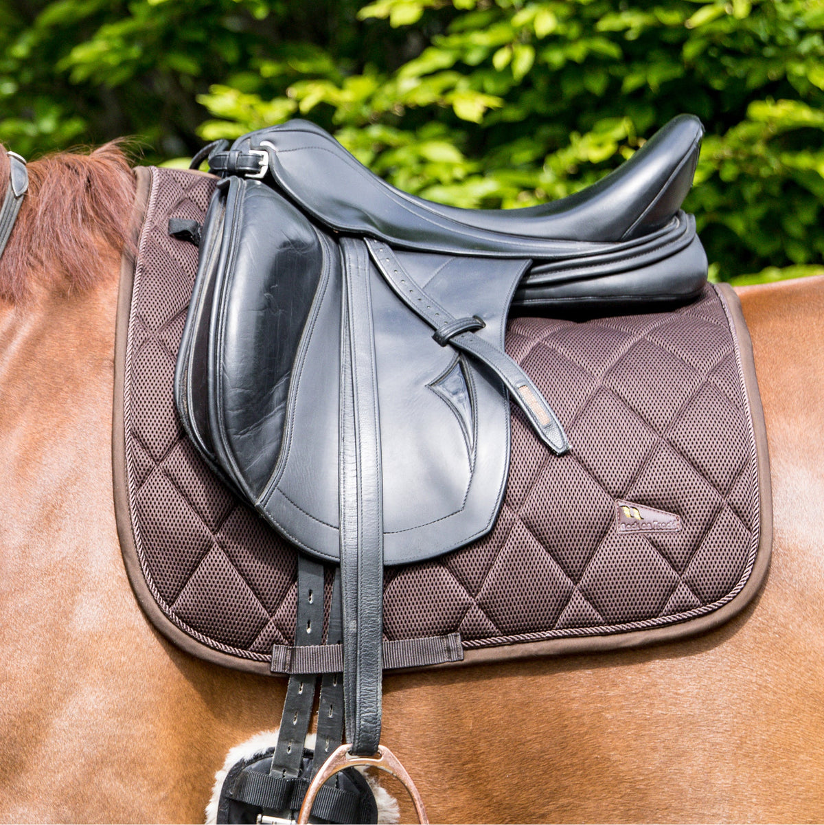 Airflow Saddle Pad Dressage