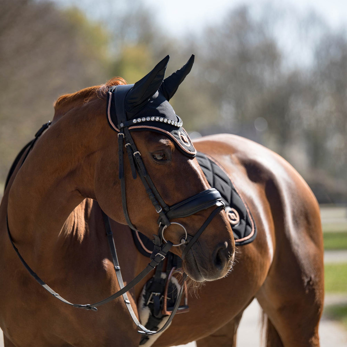 "Haze Collection" Fliegenhaube