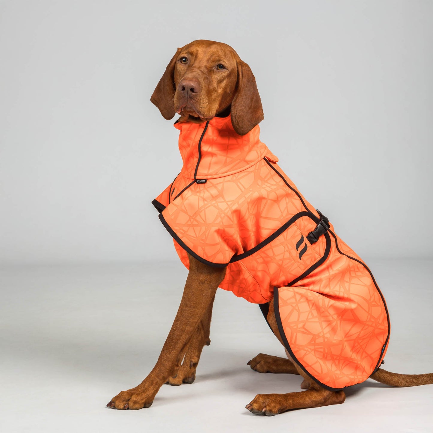 BARK Softshell Dog Coat, High set tail