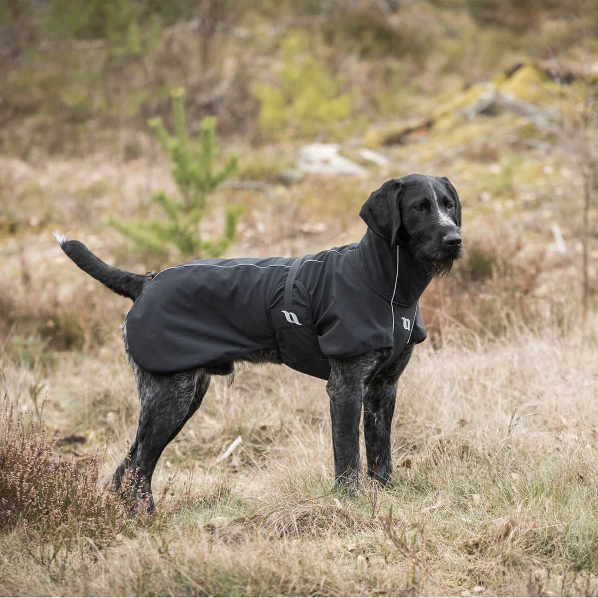 BARK Softshell Dog Coat, High set tail