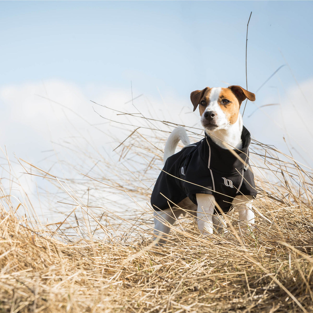 BARK Softshell Dog Coat, High set tail