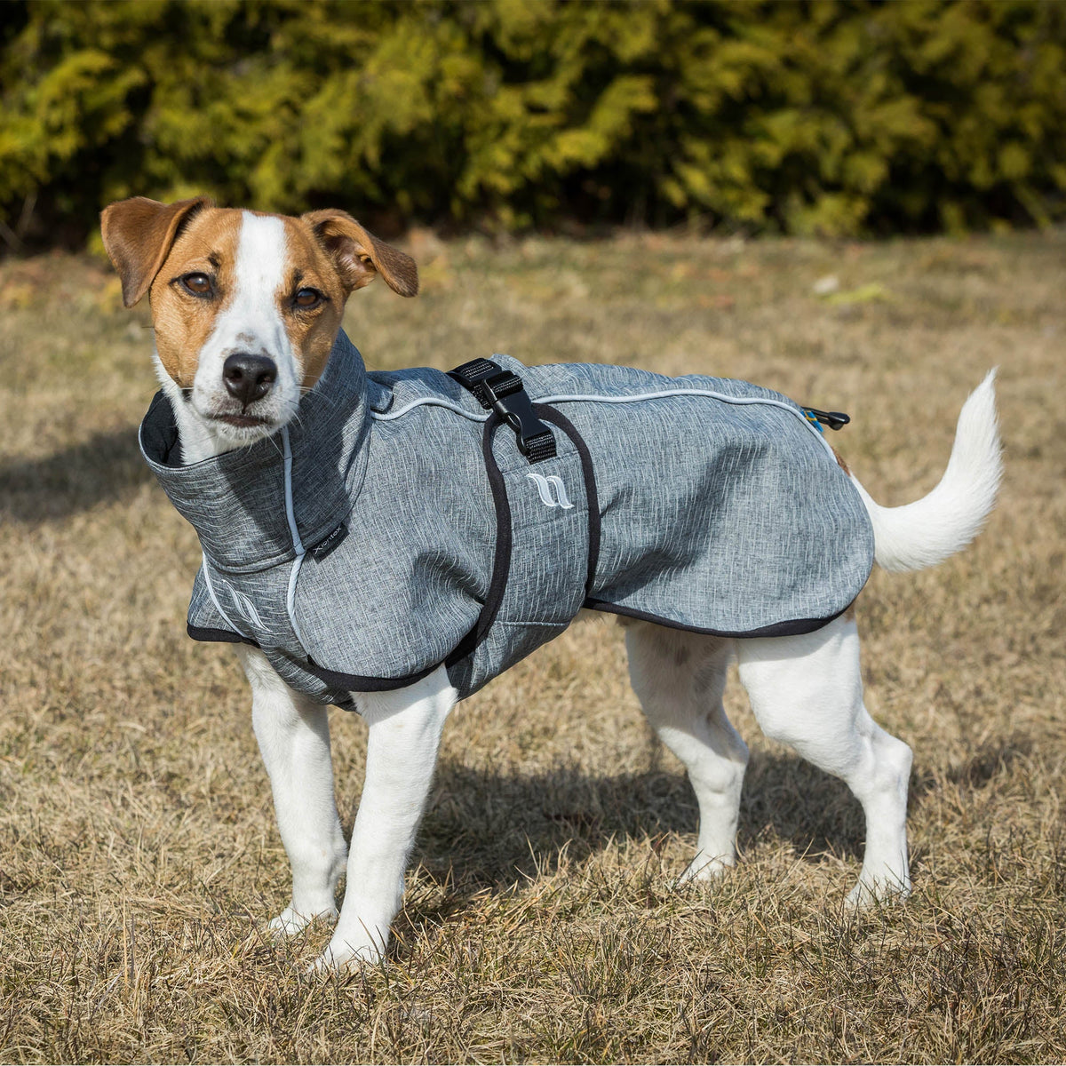 BARK Softshell Dog Coat, High set tail