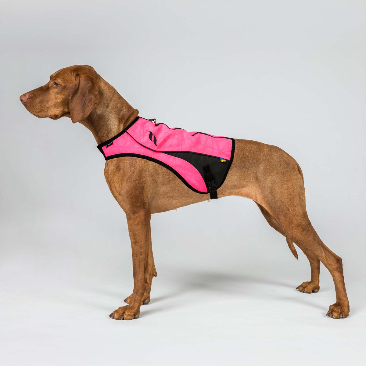 Gilet ad Alta Visibilità per Cani POINT