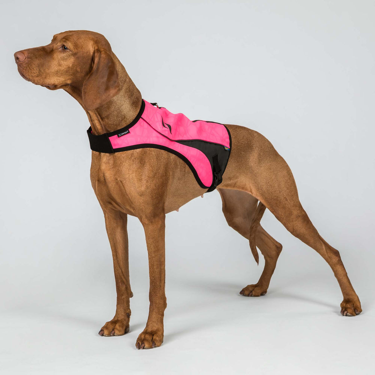 Gilet ad Alta Visibilità per Cani POINT