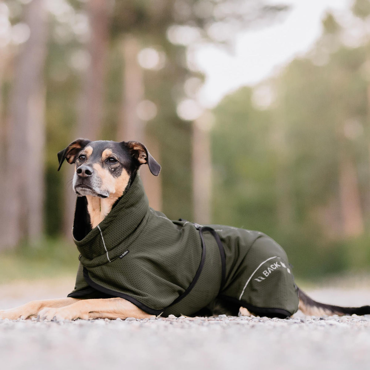 BAY Mesh dog coat, High set tail