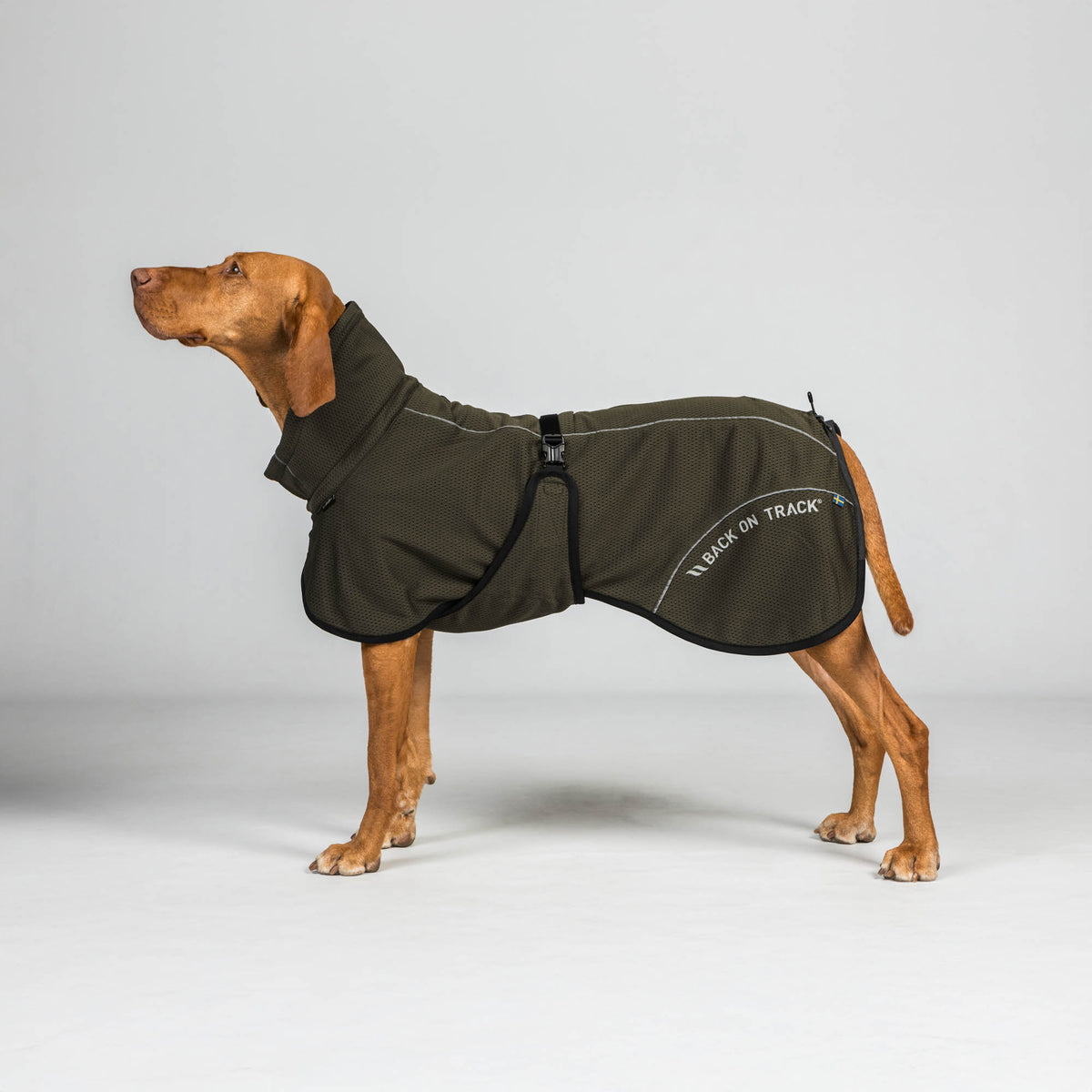 BAY Mesh dog coat, High set tail
