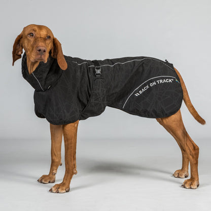 BAY Rain Dog Coat – High Set Tail