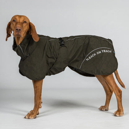 BAY Rain Dog Coat – High Set Tail