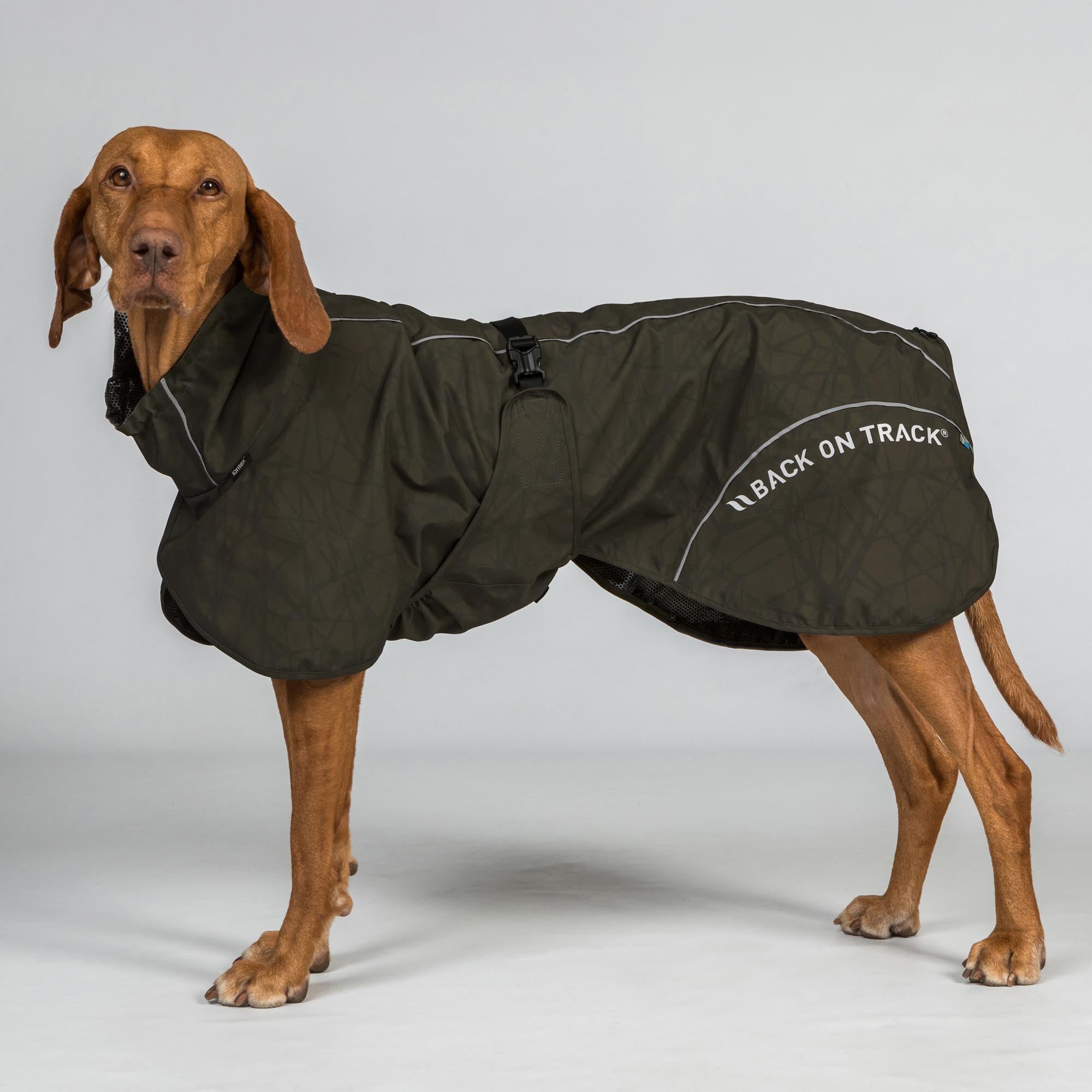 BAY Hunde-Regenmantel, Hoher Rutenansatz