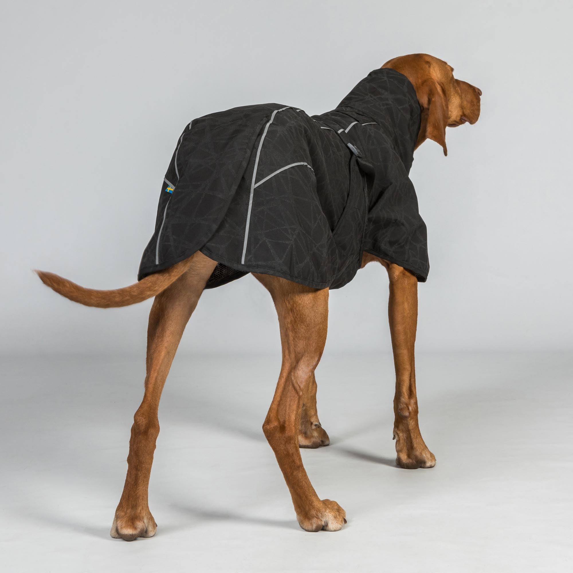 BAY Hunde-Regenmantel, Niedriger Rutenansatz