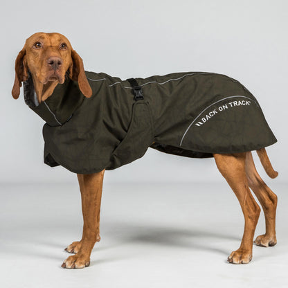 BAY Rain Dog Coat - Low Set Tail