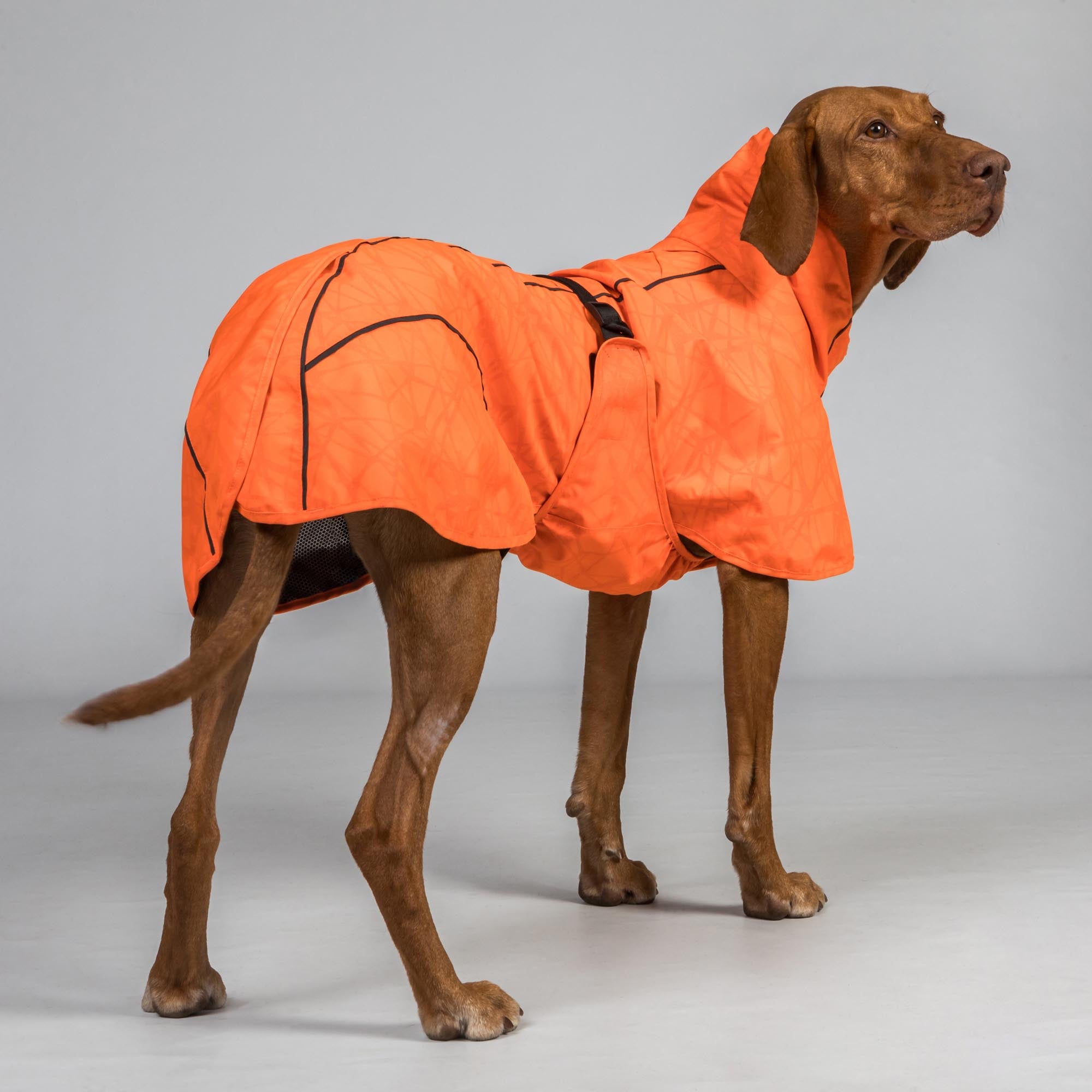 BAY Hunde-Regenmantel, Niedriger Rutenansatz