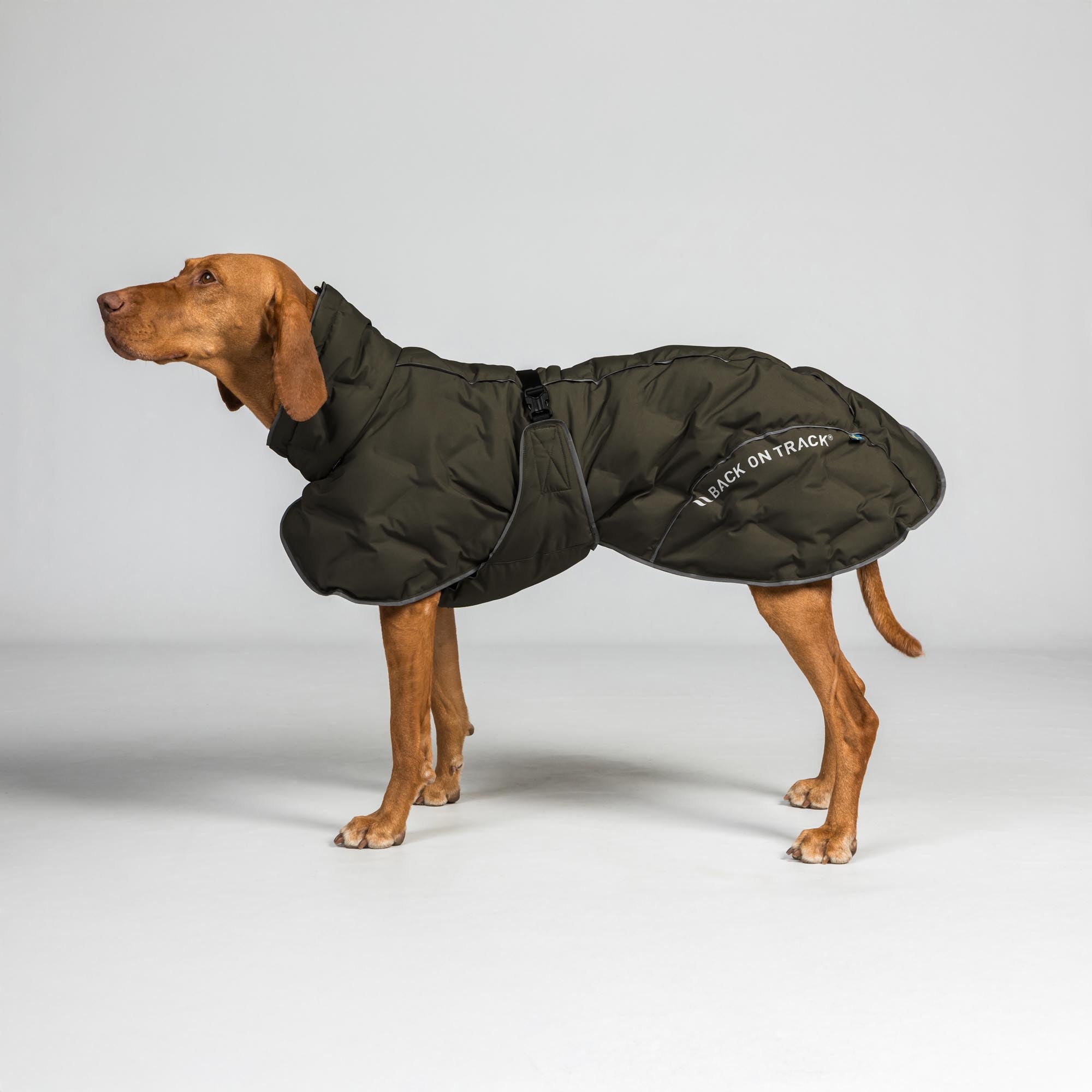 BAY Winter-Hundemantel, Niedriger Rutenansatz