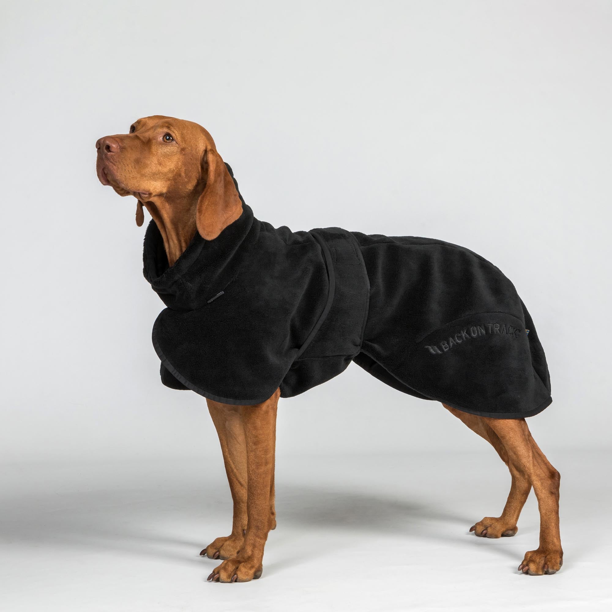 BAY Hunde-Bademantel, Niedriger Rutenansatz