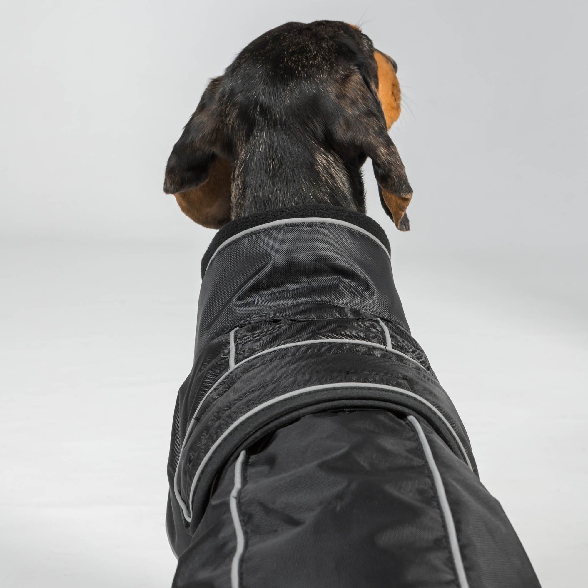 BUDDY 2.0 Winter-Hundemantel