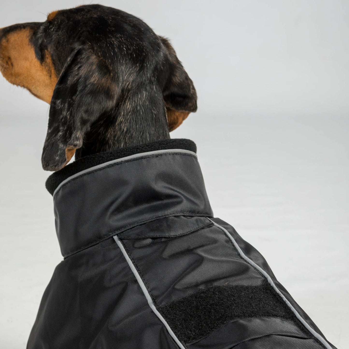 BUDDY 2.0 Thermal Dog Coat