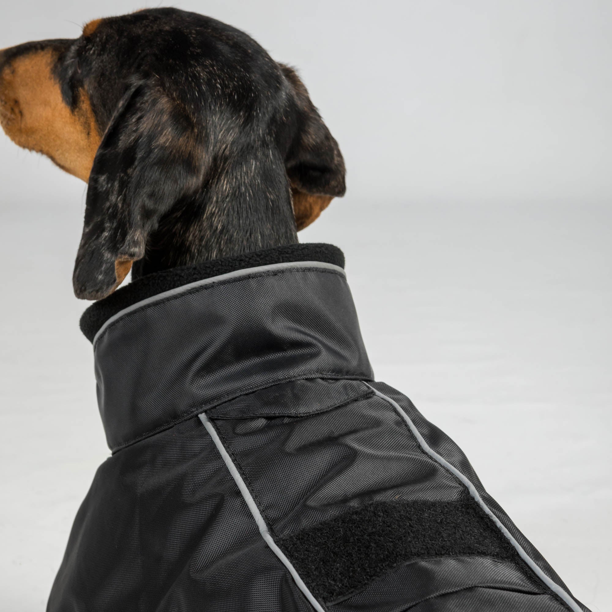 BUDDY 2.0 Winter-Hundemantel