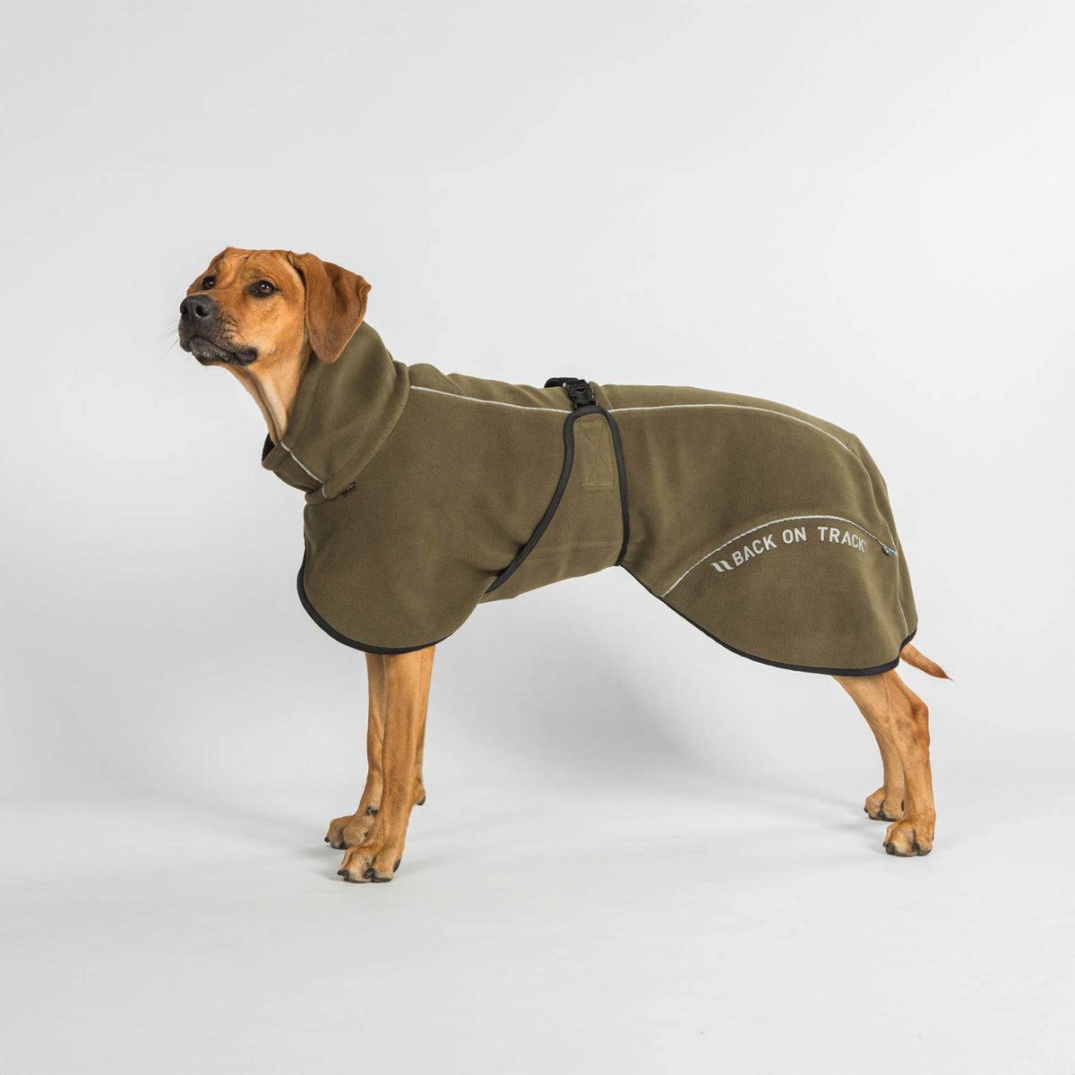 BAY Fleece Dog Coat, Low set tail