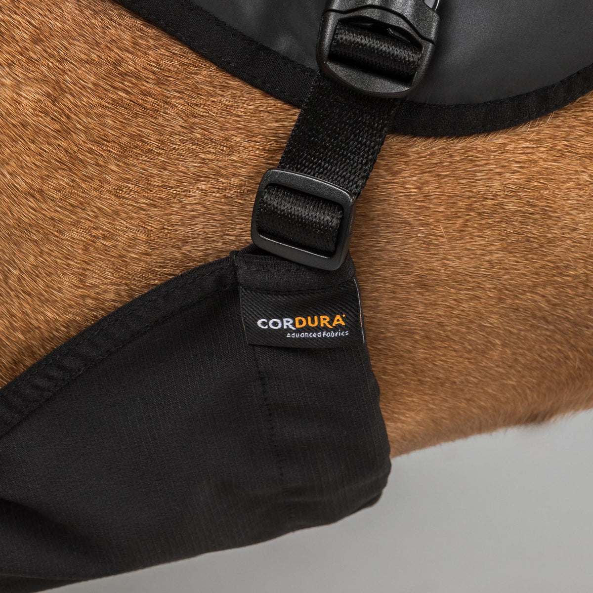 TRAKK 2.0 Visibility Dog Chest Guard