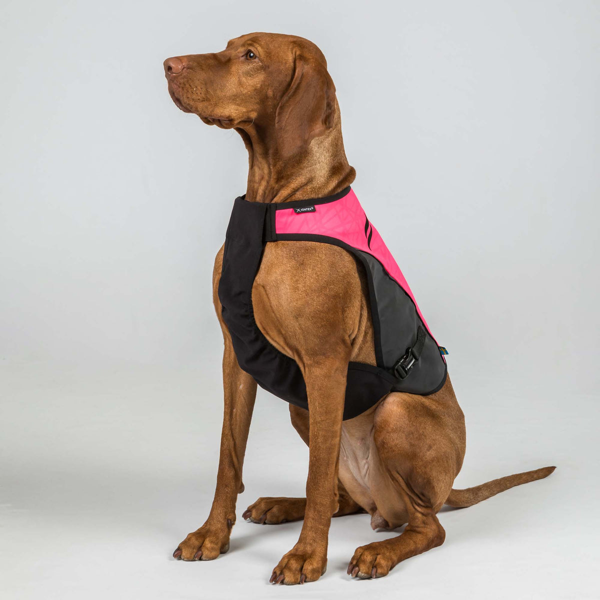 TRAKK 2.0 Visibility Dog Chest Guard
