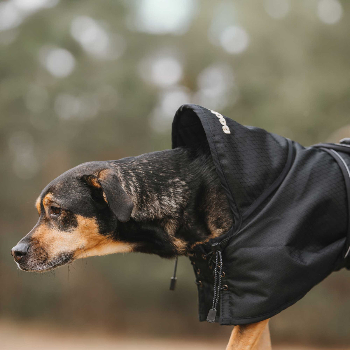 Regen-Hundemantel, 0 g