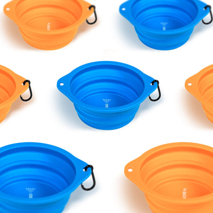 Dog Bowl