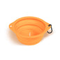 Dog Bowl