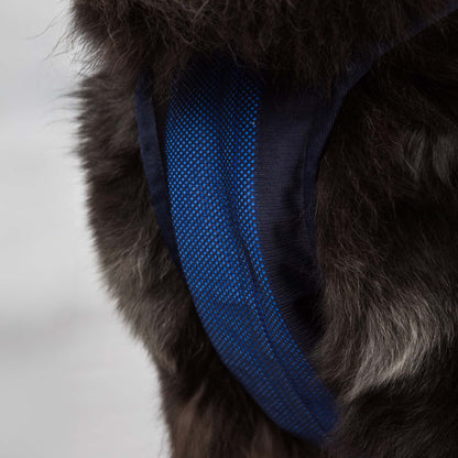 Cool on Track Dog Harness
