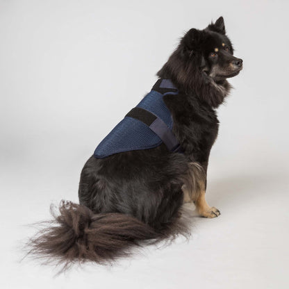 Cool on Track Dog Harness