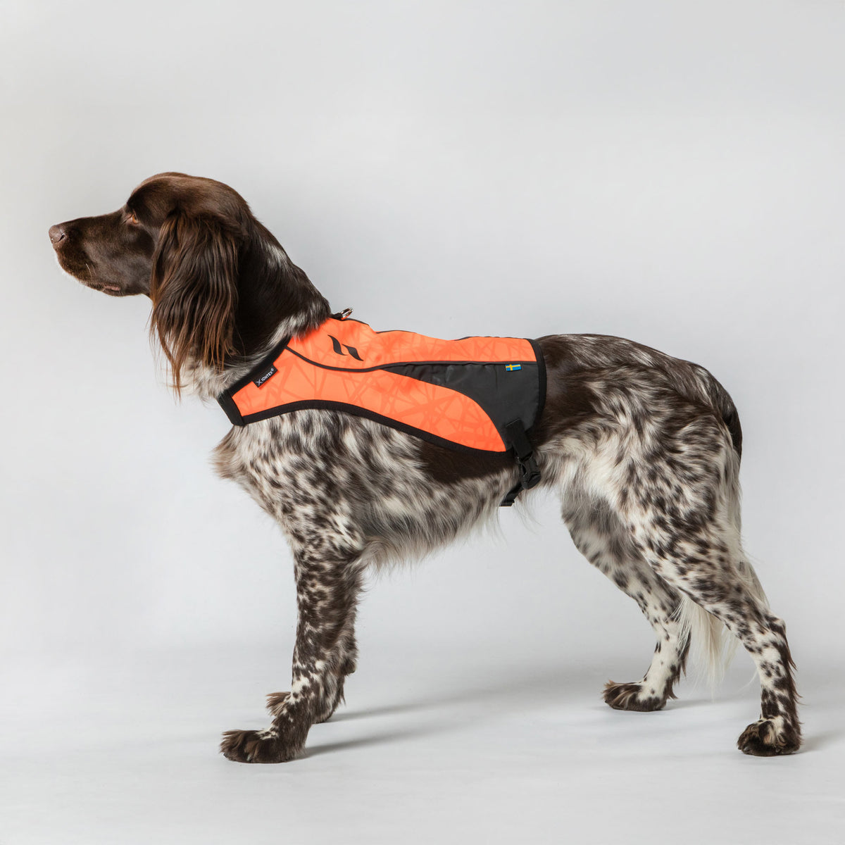 Gilet ad Alta Visibilità per Cani POINT