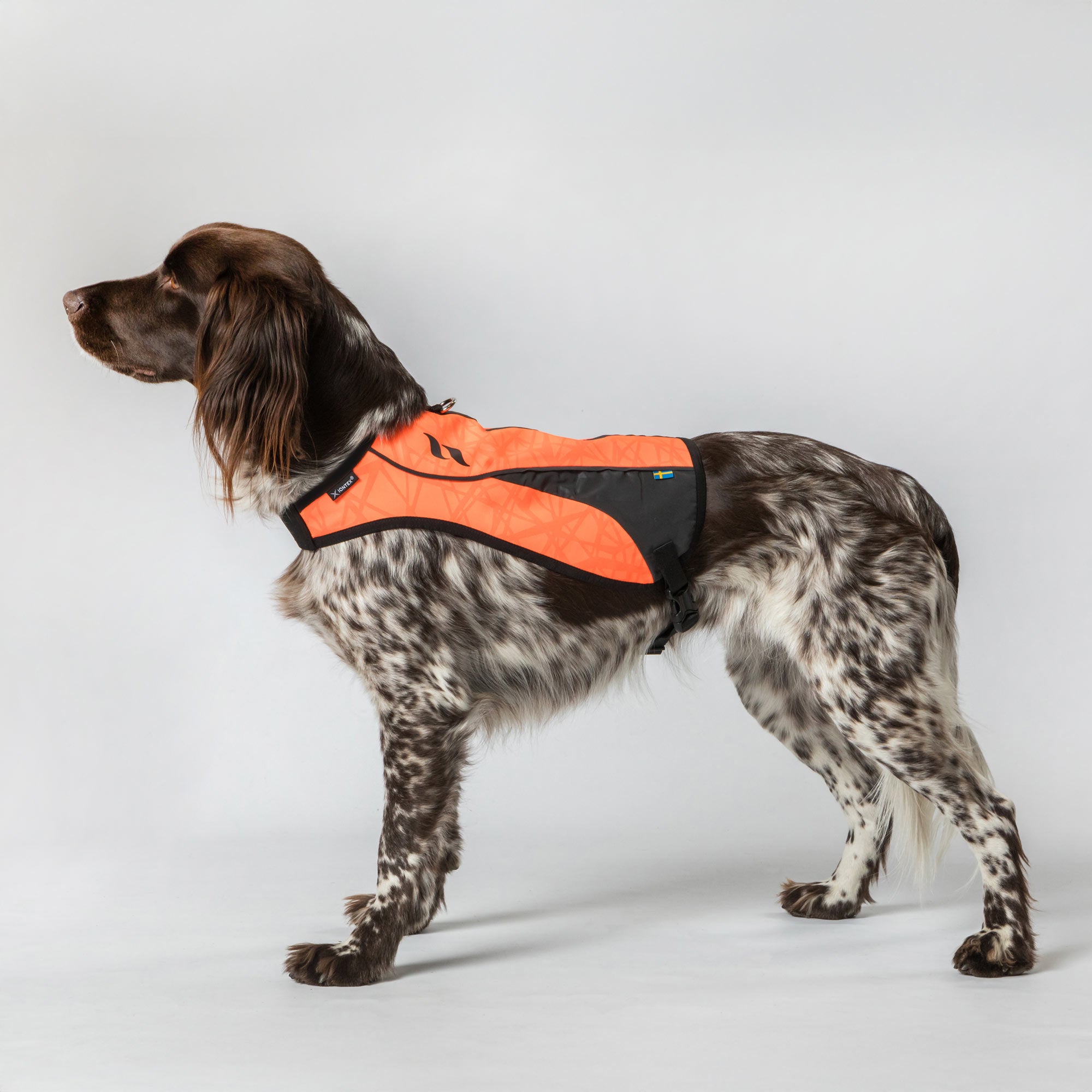 POINT Sicherheits-Hundeweste