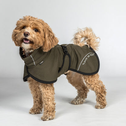 BAY Mesh dog coat, High set tail