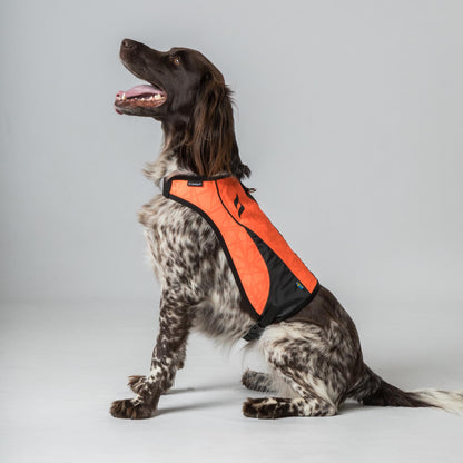 Gilet ad Alta Visibilità per Cani POINT