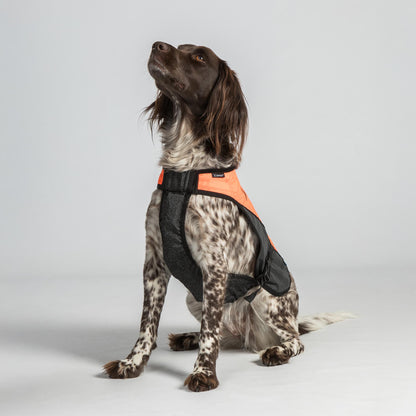 TRAKK Visibility Dog Chest Guard