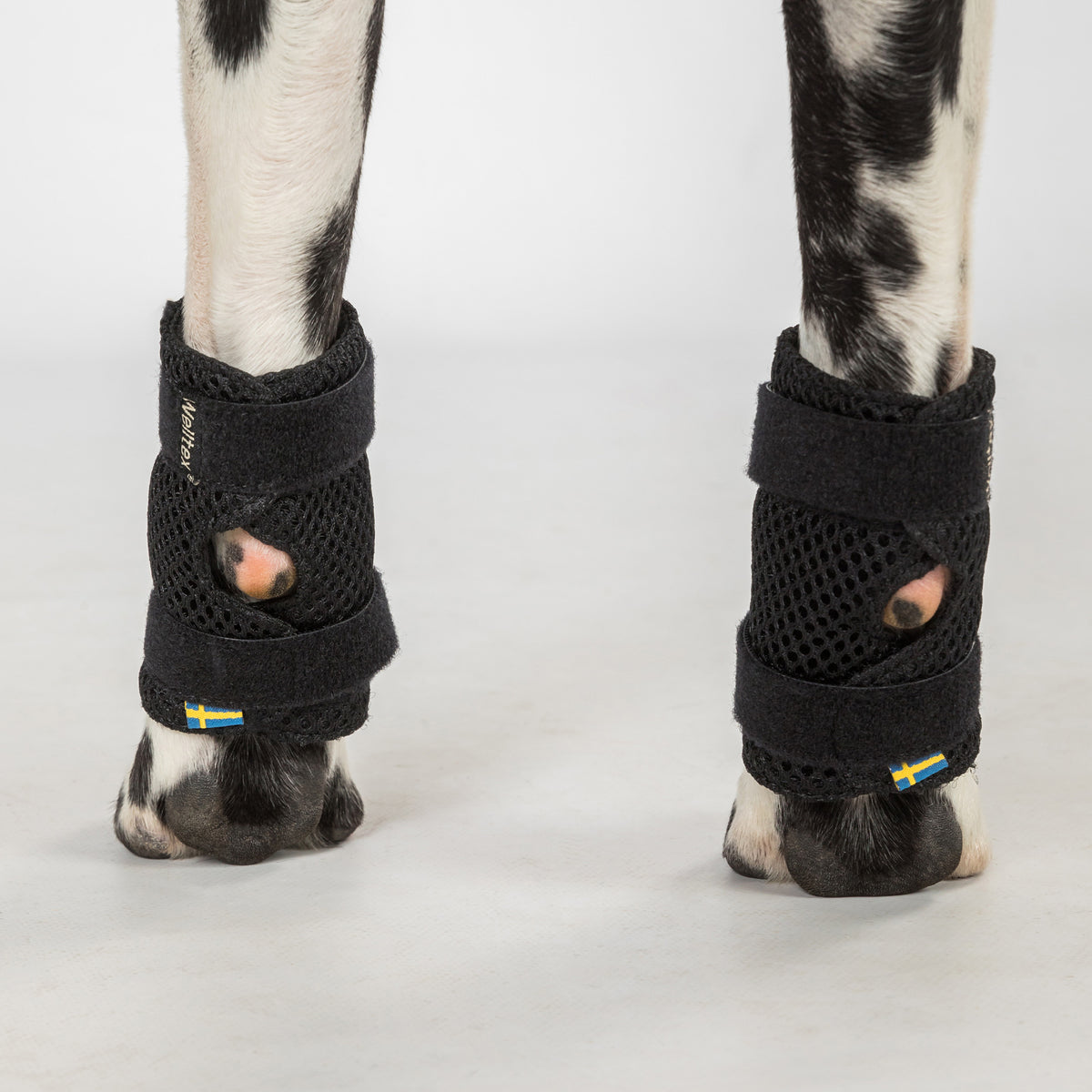 Dog Leg Brace "Milo" - Pair