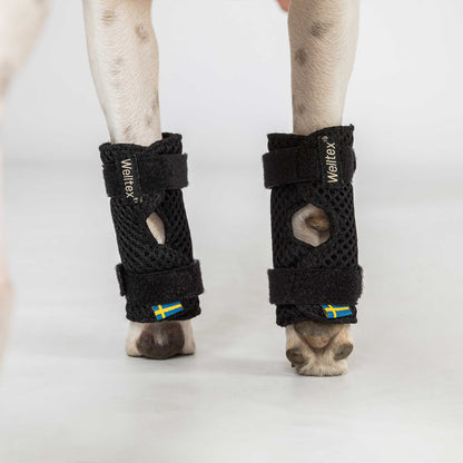 Dog Leg Brace "Milo" - Pair
