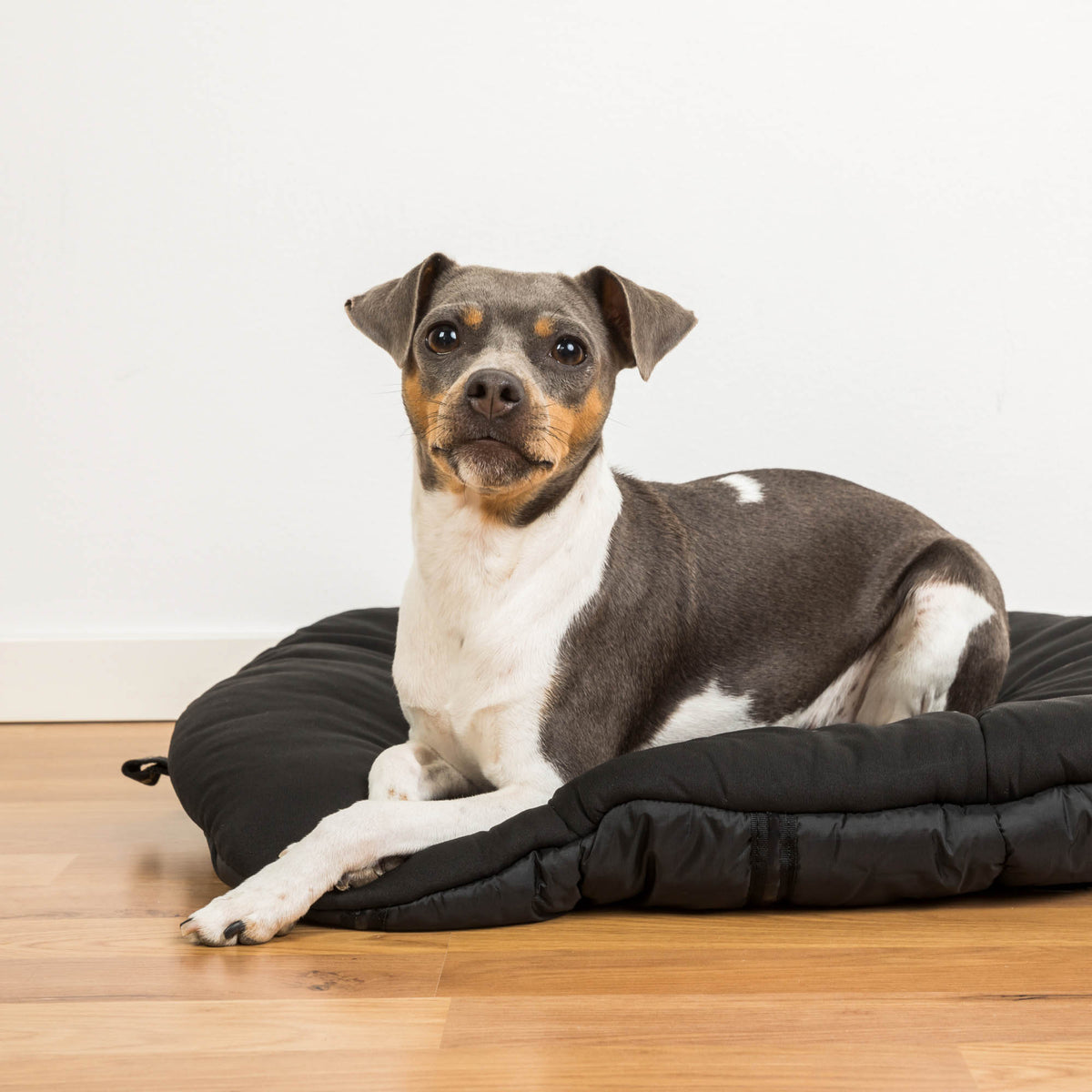 Hunde-Reisebett